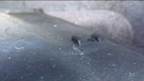 98-02 Pontiac Firebird Trans Am Turn Signal/Hazard Flashers and LED Parking / Turn Bulbs - Part 1