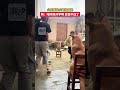 孩子强迫小狗拉皮筋 狗 啥时候开学啊真受不住了 不养狗不知道养狗的乐趣 狗子成精了 孩子强迫小狗拉皮筋 狗 啥时候开学啊真受不住了 不养狗不知道养狗的乐趣 狗子成精了