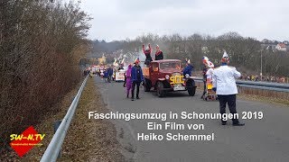 Faschingsumzug In Schonungen 2019