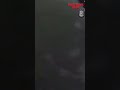 COMPLETE CHAOS - Then Police Open Fire | Bodycam