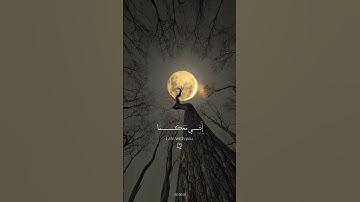 { قالا لا تخافا إنني معكما أسمع و أرى }      سورة طه     #قرآن#قران_كريم#سورة_طه#حالات_واتس