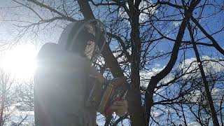 Checking on and removing the Russian queen's cage