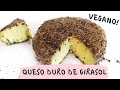 QUESO DURO DE GIRASOL VEGANO - Kat's World