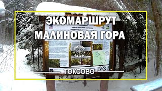 Экологический маршрут &quot;Малиновая гора&quot;. Ленинградская область.