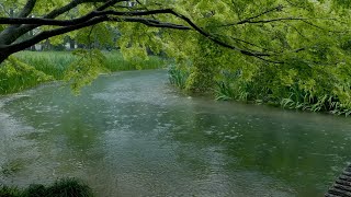 The beautiful little river is raining(196) , sleep, relax, meditate, study, work, ASMR