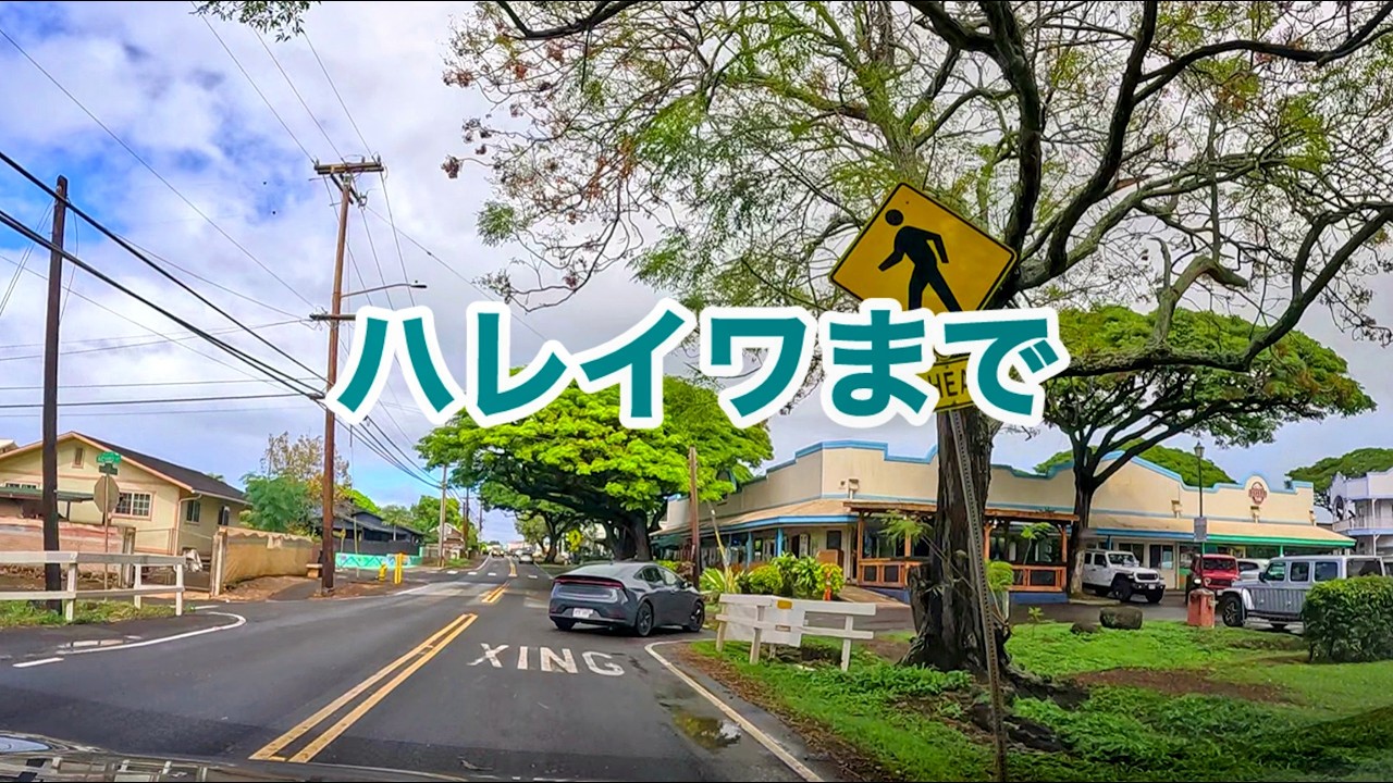 Road to Haleiwa
