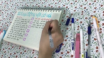 Guide to learning basic types of mammals part 17