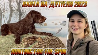 Охота на дупеля 2023 / Great snipe hunting 2023