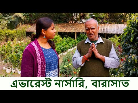 ভিডিও: সবুজ করিডোর সহ স্টেশন