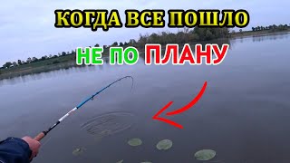 Когда рыбалка не идет по плану: Когда так его ждали и вот он.....