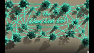 The Invisible Underground: Exploring the Rhizosphere