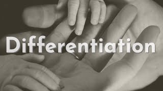 Differentiation (Rerun)