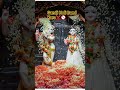 Is Baar Gandi Holi Nahi ❌ | Premanand Ji Maharaj Ka Sandesh🙏 #premanandjimaharaj #shorts #holi #ram