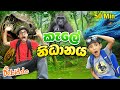   kids adventure   learning  cooking in the jungle   mr debiddo kids wild animal