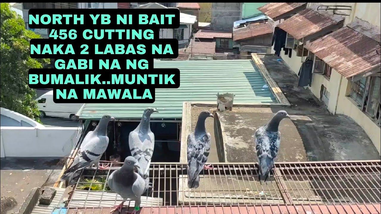 PAMAMARAAN NG PAGTURO NG YB NI BAIT....456 CUTTING BAKA MAKAKATULONG...