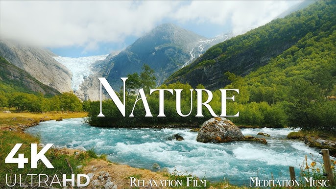 Nature Relaxation Videos for