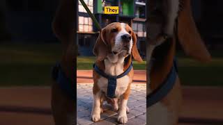 Dog Facts in 15 seconds  Can Dogs sniff cancer and other diseases?  #shorts