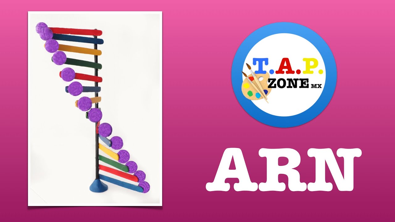 Como hacer la maqueta del ARN - TAP ZONE Mx - YouTube