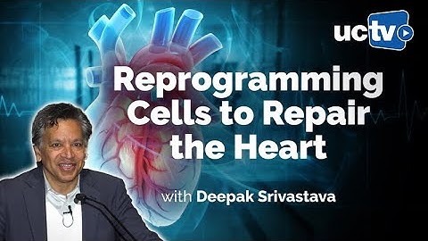 Cellular Reprogramming in Human Disease