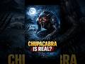 Chupacabra: Myth, Monster, or Real Creature? #facts #mystery #mythology #myths