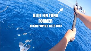 Fishing Local Blue Fin Tuna FOAMERS (VERY FINICKY)
