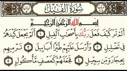 سورة الفيل بصوت سلمان العتيبي