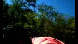 alem do rio azul (Em Guarani de Goias)