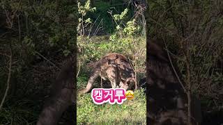 유튜브 2번 이미지