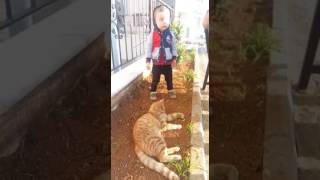Oğlumun kedi sevgisi