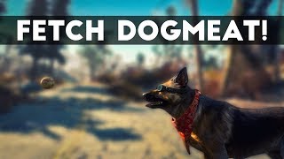 Fallout 4 - 30 Second Mods #33 | BALL - A FETCHING MOD!!
