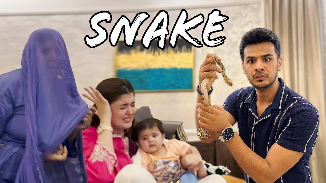Все секреты змей в доме раскрылись 😟