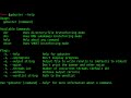 How to find hidden pages on websites - GoBuster introduction (Short)
