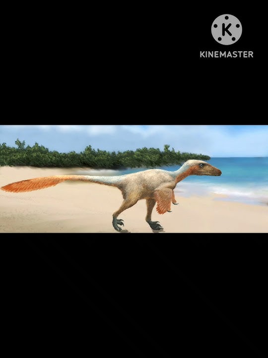 Balaur Bondoc #dinosaur #animals #balaur #bondoc #shorts #bird #omnivores #extinct #extinction #dino