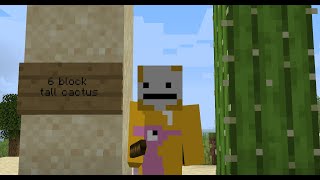6 block tall cactus