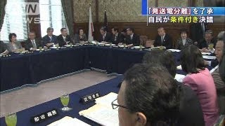 「責任を明確に」自民が政府に電力安定供給を要請（13/03/29）
