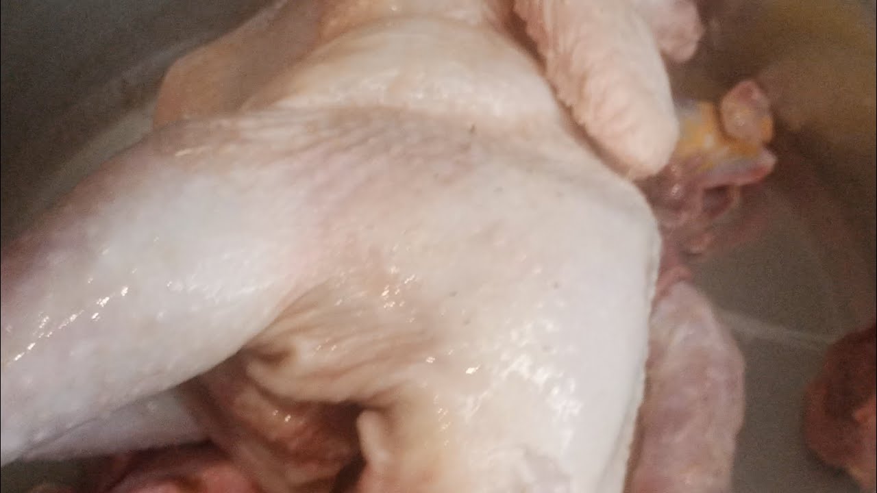 تعال نعمل احلى فراخ شامورتي بطريقتي بس طريقه جميله جدار ٢٠٢٥