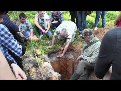 Видео: Какво е подзолиста почва