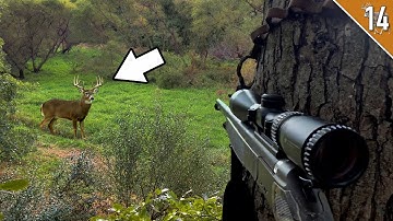 Deer Everywhere!!! - (Opening Day of Iowa Muzz Season)