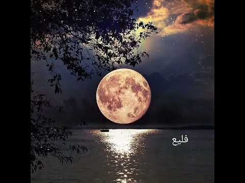ياناس حبايبي نسوني