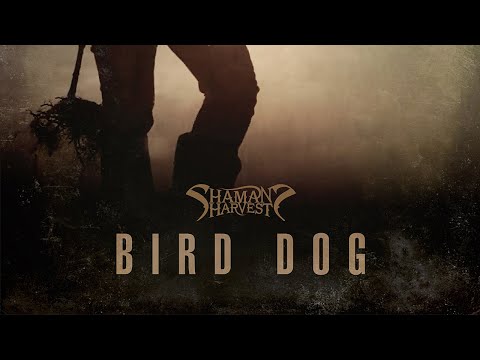 Shaman’s Harvest – Bird Dog