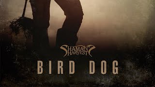Video thumbnail of "Shaman's Harvest - "Bird Dog" (Official Lyric Video)"