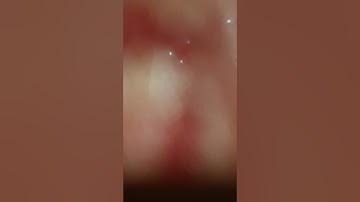 صلاة العشاء يوم السبت(٢٨/٥/١٤٤٣)؛القارئ:همام عادل شاهين