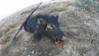 Sth West QLD Hunt.