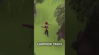 New Sailing Woodcutting Method in OSRS ⛵ (AFK Money Maker)