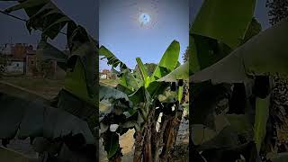 Nature Ki Khoobsurti | Peaceful Forest &amp; Relaxing Nature Views 🌄