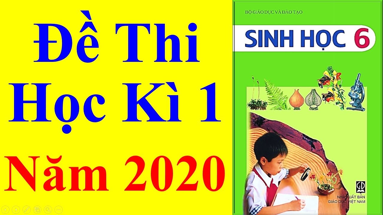 Đề thi môn sinh học lớp 6 học kì 1 | Sinh học Lớp 6 – Đề Thi Học Kì 1 Năm 2020