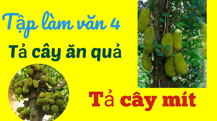 Bài văn tả thân cây và góc cây mít năm 2024