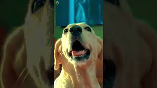 parimala and co whatsapp status tamil #tamil #movie #trending #viral