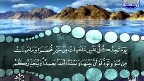 سورة آل عمران الآية  30