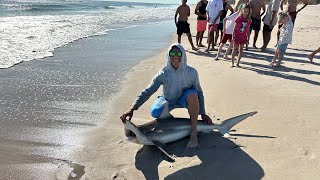 Land based shark fishing !!! #florida #sharks #wildlife #surf #saltlife #brevardcounty #fishing